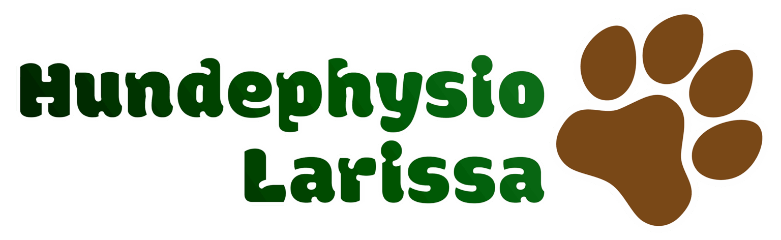Hundephysio Larissa: Individuelle Therapie für mehr Beweglichkeit und Lebensfreude